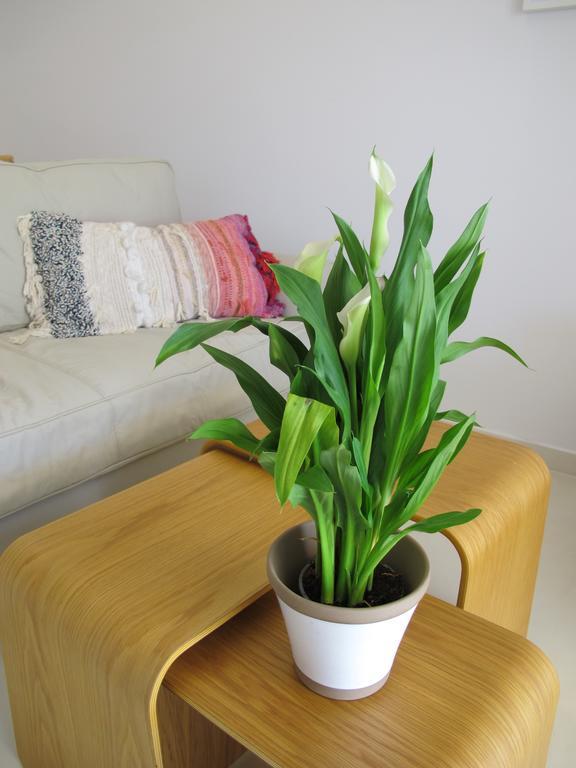 Seafront Calista Beach House With Garden Glyfada  Bagian luar foto